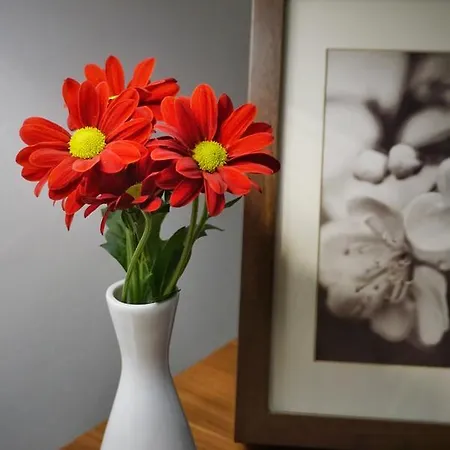 Apartman Old City Studio